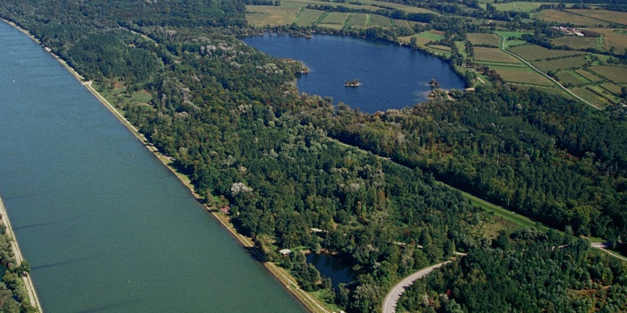 Naturschutzgebiet Neuburgweier