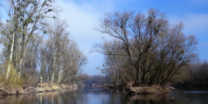 Naturschutzgebiet Bremengrund
