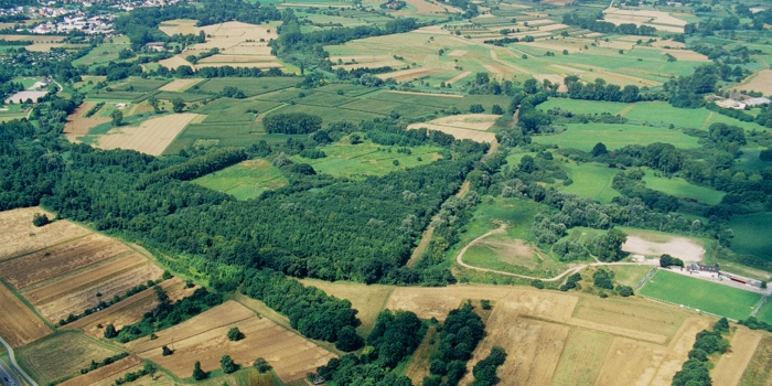 Naturschutzgebiet Rheinniederung Luftbild